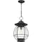 Quoizel Boston 1-Light Mottled Black Mini Pendant BST1511MB - alternate 3